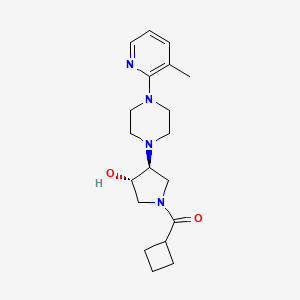 molecular formula C19H28N4O2 B3801074 cyclobutyl-[(3S,4S)-3-hydroxy-4-[4-(3-methylpyridin-2-yl)piperazin-1-yl]pyrrolidin-1-yl]methanone 