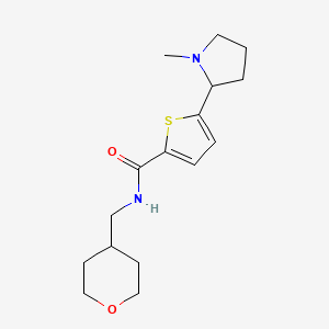 molecular formula C16H24N2O2S B3802029 5-(1-methylpyrrolidin-2-yl)-N-(oxan-4-ylmethyl)thiophene-2-carboxamide 