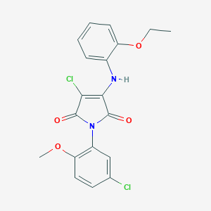 3-chloro-1-(5-chloro-2-methoxyphenyl)-4-(2-ethoxyanilino)-1H-pyrrole-2,5-dione