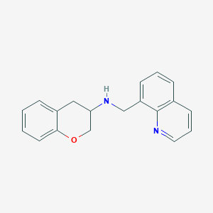 molecular formula C19H18N2O B3809053 N-(quinolin-8-ylmethyl)-3,4-dihydro-2H-chromen-3-amine 