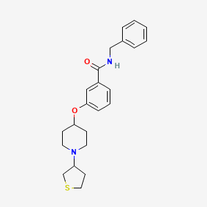 molecular formula C23H28N2O2S B3815298 N-benzyl-3-[1-(thiolan-3-yl)piperidin-4-yl]oxybenzamide 