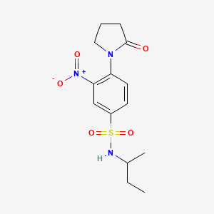 molecular formula C14H19N3O5S B3822496 N-butan-2-yl-3-nitro-4-(2-oxopyrrolidin-1-yl)benzenesulfonamide 