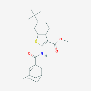 molecular formula C25H35NO3S B382998 Methyl 2-[(1-adamantylcarbonyl)amino]-6-tert-butyl-4,5,6,7-tetrahydro-1-benzothiophene-3-carboxylate 