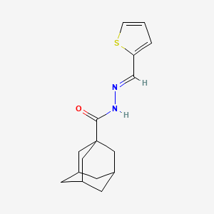 molecular formula C16H20N2OS B3833371 N'-(2-thienylmethylene)-1-adamantanecarbohydrazide 