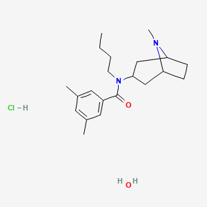 molecular formula C21H35ClN2O2 B3834142 N-butyl-3,5-dimethyl-N-(8-methyl-8-azabicyclo[3.2.1]octan-3-yl)benzamide;hydrate;hydrochloride 