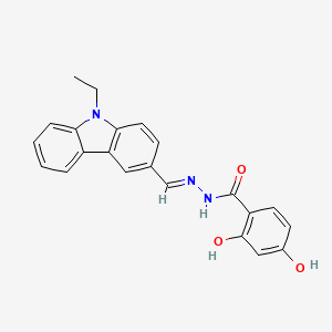 molecular formula C22H19N3O3 B3837163 N-[(E)-(9-ethylcarbazol-3-yl)methylideneamino]-2,4-dihydroxybenzamide 