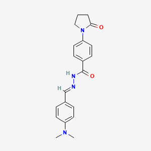 molecular formula C20H22N4O2 B3837598 N'-{(E)-[4-(dimethylamino)phenyl]methylidene}-4-(2-oxopyrrolidin-1-yl)benzohydrazide 