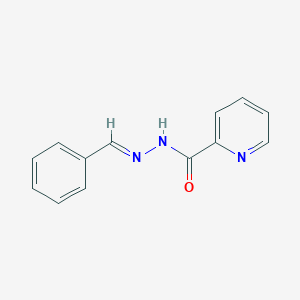 molecular formula C13H11N3O B3838738 Pyridine-2-carboxylic acid benzylidene-hydrazide 