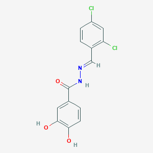 molecular formula C14H10Cl2N2O3 B3839858 N'-[(E)-(2,4-dichlorophenyl)methylidene]-3,4-dihydroxybenzohydrazide CAS No. 5315-10-6
