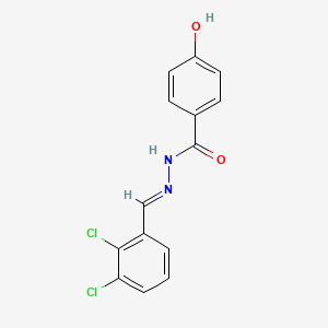 molecular formula C14H10Cl2N2O2 B3840582 N'-[(E)-(2,3-dichlorophenyl)methylidene]-4-hydroxybenzohydrazide CAS No. 303772-14-7