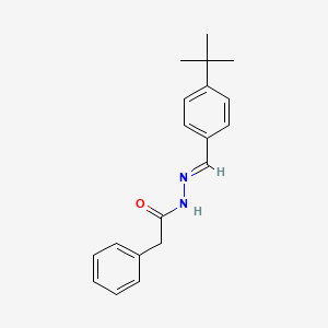 molecular formula C19H22N2O B3841356 N-[(E)-(4-tert-butylphenyl)methylideneamino]-2-phenylacetamide CAS No. 5326-13-6