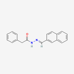 molecular formula C19H16N2O B3841374 N'-(2-naphthylmethylene)-2-phenylacetohydrazide 