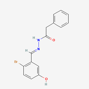molecular formula C15H13BrN2O2 B3841378 N-[(E)-(2-bromo-5-hydroxyphenyl)methylideneamino]-2-phenylacetamide 