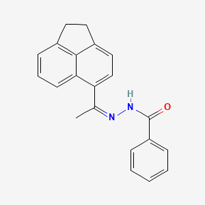 molecular formula C21H18N2O B3841959 N-[(Z)-1-(1,2-dihydroacenaphthylen-5-yl)ethylideneamino]benzamide 