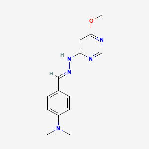 molecular formula C14H17N5O B3843357 N-[(E)-[4-(dimethylamino)phenyl]methylideneamino]-6-methoxypyrimidin-4-amine 