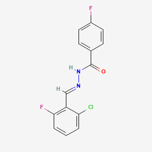 molecular formula C14H9ClF2N2O B3847641 N-[(E)-(2-chloro-6-fluorophenyl)methylideneamino]-4-fluorobenzamide 