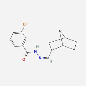molecular formula C15H17BrN2O B3847757 N-[(Z)-2-bicyclo[2.2.1]heptanylmethylideneamino]-3-bromobenzamide 