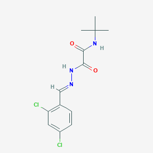 molecular formula C13H15Cl2N3O2 B3848306 N-tert-butyl-N'-[(E)-(2,4-dichlorophenyl)methylideneamino]oxamide 