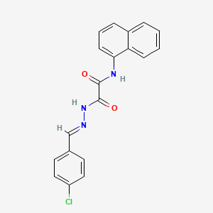 molecular formula C19H14ClN3O2 B3848636 N'-[(E)-(4-chlorophenyl)methylideneamino]-N-naphthalen-1-yloxamide 