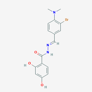 molecular formula C16H16BrN3O3 B3849717 N-[(E)-[3-bromo-4-(dimethylamino)phenyl]methylideneamino]-2,4-dihydroxybenzamide 