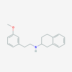 molecular formula C19H23NO B3850312 N-[2-(3-methoxyphenyl)ethyl]-1,2,3,4-tetrahydronaphthalen-2-amine 