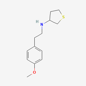 molecular formula C13H19NOS B3854022 N-[2-(4-methoxyphenyl)ethyl]thiolan-3-amine 