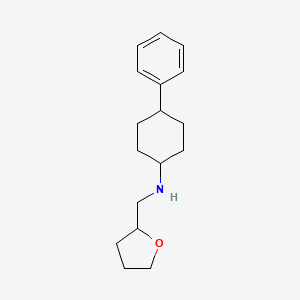 molecular formula C17H25NO B3854107 N-(oxolan-2-ylmethyl)-4-phenylcyclohexan-1-amine 