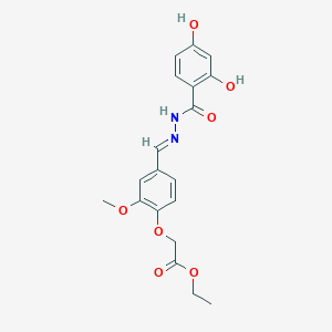 molecular formula C19H20N2O7 B3854496 ethyl 2-[4-[(E)-[(2,4-dihydroxybenzoyl)hydrazinylidene]methyl]-2-methoxyphenoxy]acetate 