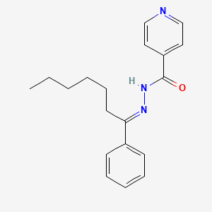 molecular formula C19H23N3O B3855021 N-[(E)-1-phenylheptylideneamino]pyridine-4-carboxamide 