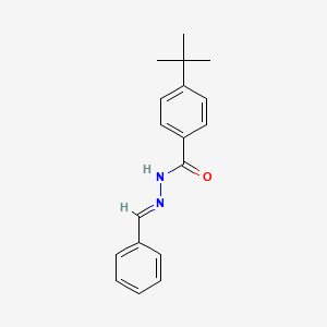 molecular formula C18H20N2O B3855434 N-[(E)-benzylideneamino]-4-tert-butylbenzamide 