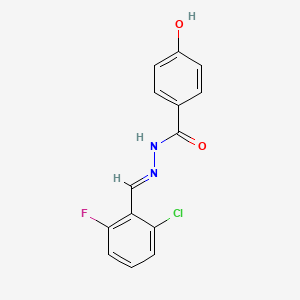 molecular formula C14H10ClFN2O2 B3856559 N-[(E)-(2-chloro-6-fluorophenyl)methylideneamino]-4-hydroxybenzamide 