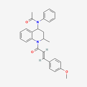 molecular formula C28H28N2O3 B3857755 N-[1-[(E)-3-(4-methoxyphenyl)prop-2-enoyl]-2-methyl-3,4-dihydro-2H-quinolin-4-yl]-N-phenylacetamide 