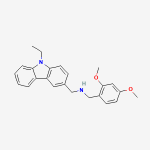 molecular formula C24H26N2O2 B3859785 N-[(2,4-dimethoxyphenyl)methyl]-1-(9-ethylcarbazol-3-yl)methanamine 