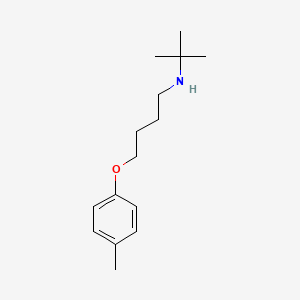 molecular formula C15H25NO B3860178 N-tert-butyl-4-(4-methylphenoxy)butan-1-amine 