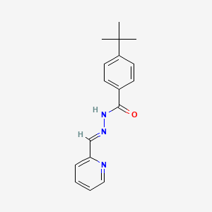 molecular formula C17H19N3O B3860864 4-tert-butyl-N'-(2-pyridinylmethylene)benzohydrazide CAS No. 5528-79-0