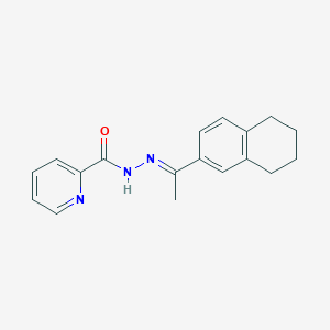 molecular formula C18H19N3O B3860896 N-[(E)-1-(5,6,7,8-tetrahydronaphthalen-2-yl)ethylideneamino]pyridine-2-carboxamide 