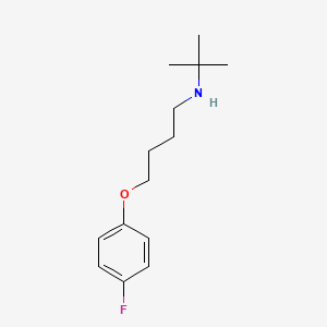 molecular formula C14H22FNO B3862914 N-tert-butyl-4-(4-fluorophenoxy)butan-1-amine 