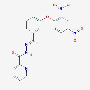 molecular formula C19H13N5O6 B3864191 N-[(E)-[3-(2,4-dinitrophenoxy)phenyl]methylideneamino]pyridine-2-carboxamide 