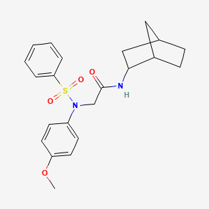 molecular formula C22H26N2O4S B3865453 N-bicyclo[2.2.1]hept-2-yl-N~2~-(4-methoxyphenyl)-N~2~-(phenylsulfonyl)glycinamide 