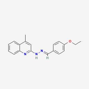molecular formula C19H19N3O B3866525 N-[(E)-(4-ethoxyphenyl)methylideneamino]-4-methylquinolin-2-amine 