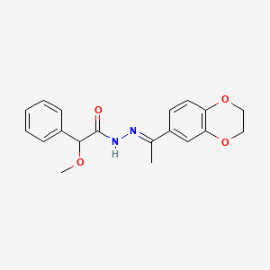 molecular formula C19H20N2O4 B3867471 N'-[(1E)-1-(2,3-dihydro-1,4-benzodioxin-6-yl)ethylidene]-2-methoxy-2-phenylacetohydrazide 