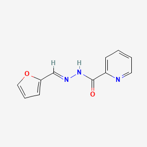 molecular formula C11H9N3O2 B3869330 N'-[(E)-2-furylmethylidene]-2-pyridinecarbohydrazide 