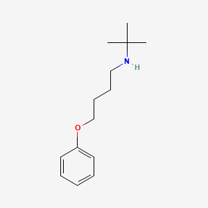 molecular formula C14H23NO B3869334 N-tert-butyl-4-phenoxybutan-1-amine 