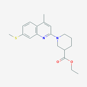 molecular formula C19H24N2O2S B3869365 Ethyl 1-(4-methyl-7-methylsulfanylquinolin-2-yl)piperidine-3-carboxylate 