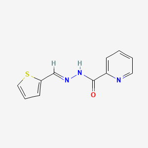 molecular formula C11H9N3OS B3869391 N'-[(E)-thiophen-2-ylmethylidene]pyridine-2-carbohydrazide 