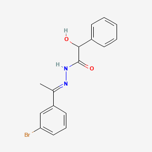 molecular formula C16H15BrN2O2 B3869469 N-[(E)-1-(3-bromophenyl)ethylideneamino]-2-hydroxy-2-phenylacetamide 