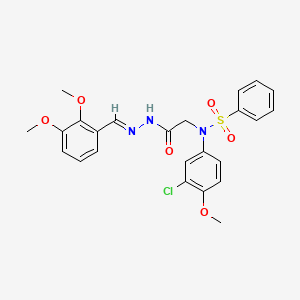 molecular formula C24H24ClN3O6S B3873211 N-(3-CHLORO-4-METHOXYPHENYL)-N-({N'-[(E)-(2,3-DIMETHOXYPHENYL)METHYLIDENE]HYDRAZINECARBONYL}METHYL)BENZENESULFONAMIDE 