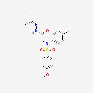 molecular formula C23H31N3O4S B3873407 N-({N'-[(2E)-3,3-DIMETHYLBUTAN-2-YLIDENE]HYDRAZINECARBONYL}METHYL)-4-ETHOXY-N-(4-METHYLPHENYL)BENZENE-1-SULFONAMIDE 