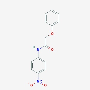 molecular formula C14H12N2O4 B387511 N-(4-nitrophenyl)-2-phenoxyacetamide CAS No. 102818-93-9