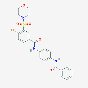 molecular formula C24H22BrN3O5S B388141 N-(4-BENZAMIDOPHENYL)-4-BROMO-3-(MORPHOLINE-4-SULFONYL)BENZAMIDE 